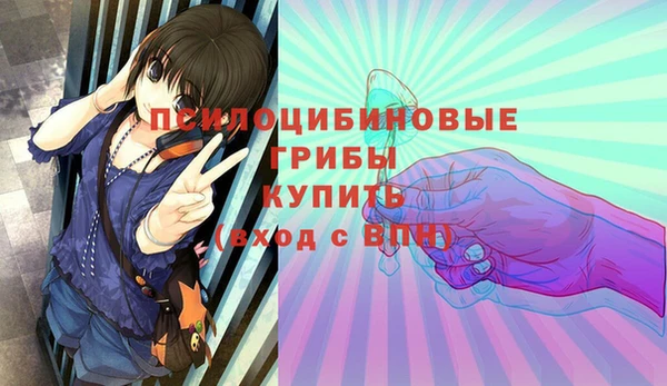 соль ск Лабытнанги