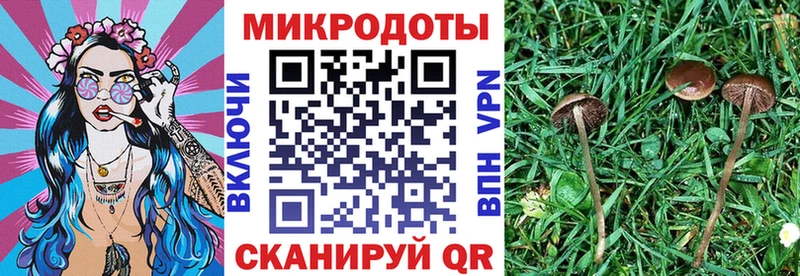 Псилоцибиновые грибы GOLDEN TEACHER  продажа наркотиков  Брянск 